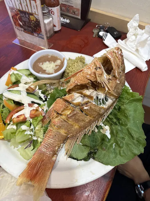 Marisa's Mexican Seafood Cocina Picture 1