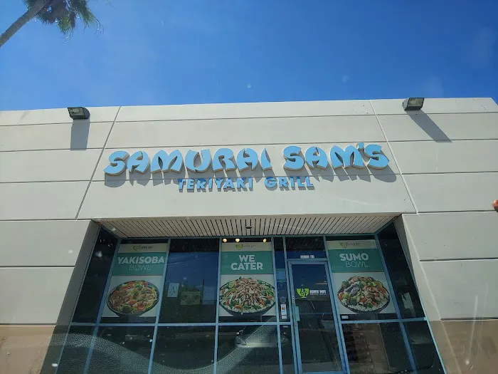 Samurai Sam's Picture 4