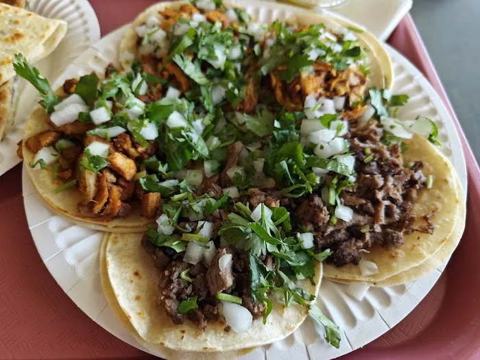 Taco Mich & Bar 4 Picture 10