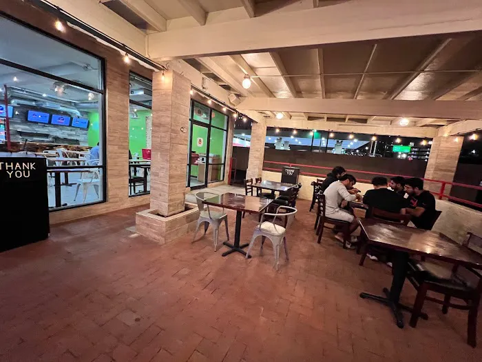 Hungry Birds Picture 4