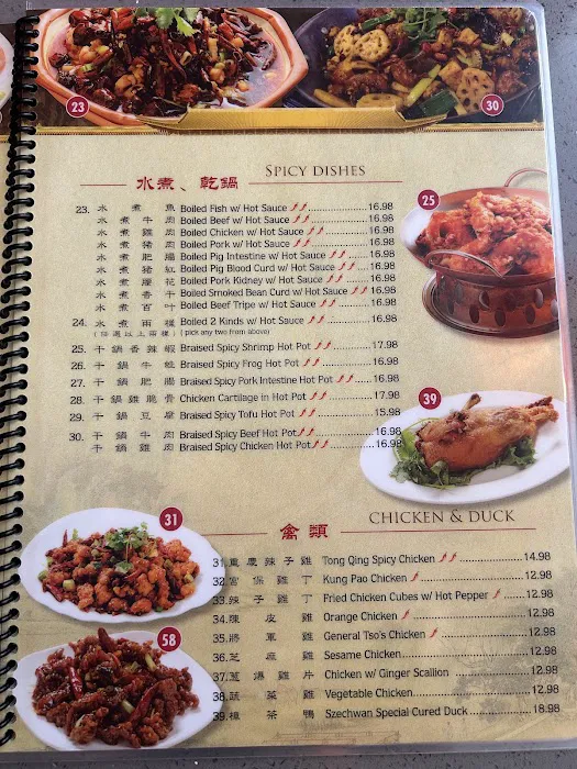 Szechwan Garden Picture 7