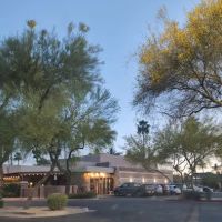 Chicken Boutique ico