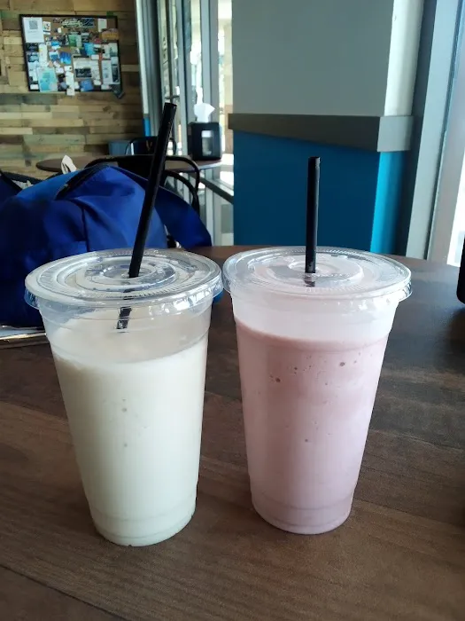 Lytebite Chandler Picture 8