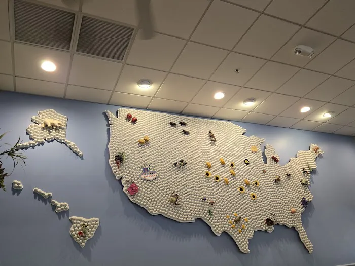 U.S. Egg Brunch + Cocktails Picture 7