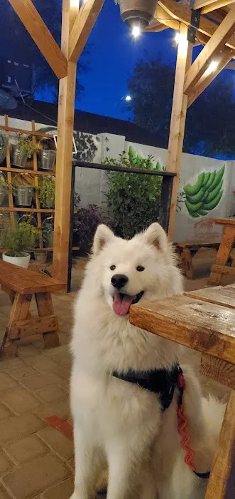 Taco Rojo’s Picture 7