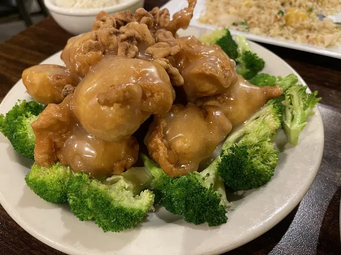 Blossom Asian Cuisine Picture 10