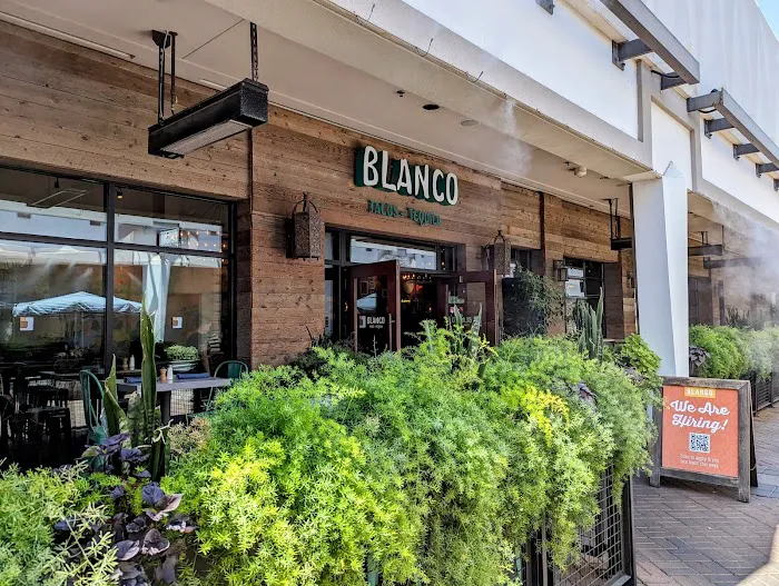 Blanco Cocina + Cantina Picture 9