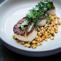 FLINT by Baltaire ico