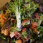 Maguro Sushi and Ramen