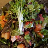 Maguro Sushi and Ramen ico