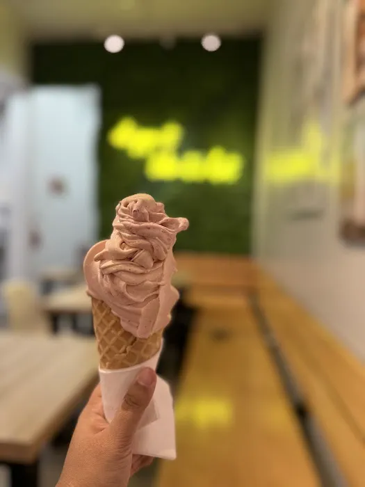 XRewind - Soft Serve + Tea + Biryani + Sandwich Picture 7