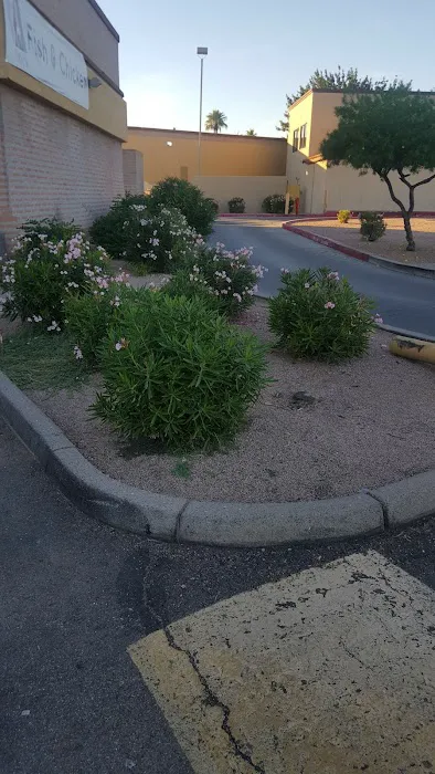 Filiberto's Mexican Food Picture 2