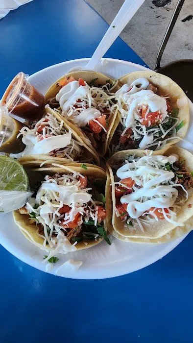 Taqueria Los Gordos Picture 2