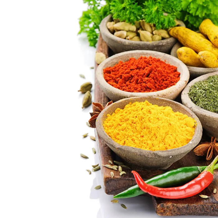 Indian Delhi Palace Picture 5