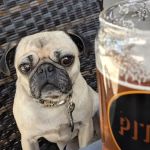 Pitch Scottsdale - Restaurant and Pizzeria