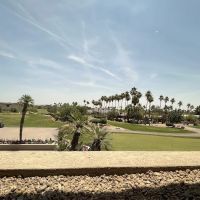 The Phoenician Tavern ico