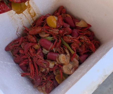 Tha Jones Enterprise