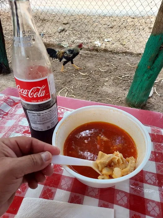 Carmelas Cocina Picture 2