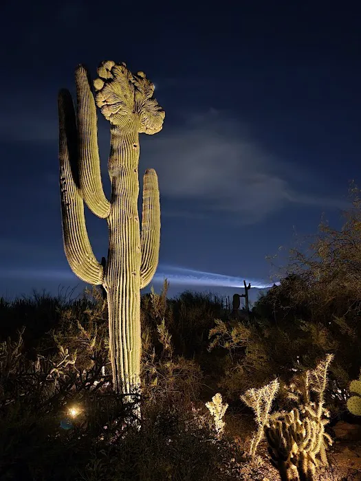 Gertrude's by Tarbell's Picture 10