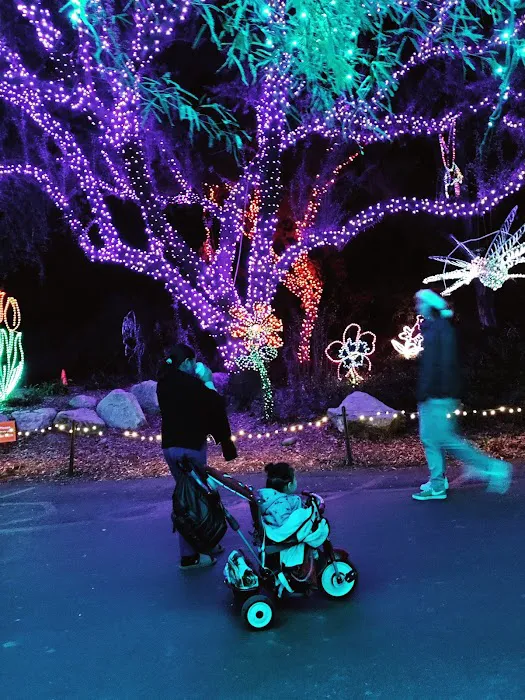 Savanna Grill at Phoenix Zoo Picture 6