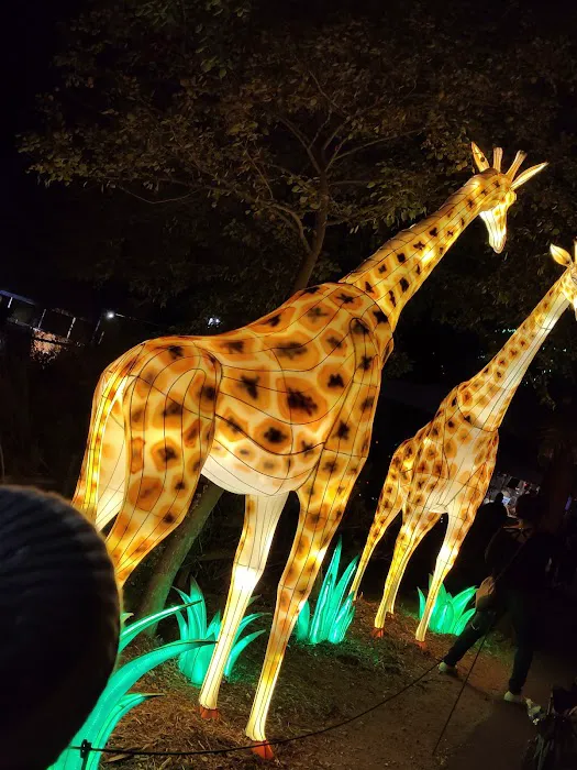 Savanna Grill at Phoenix Zoo Picture 8