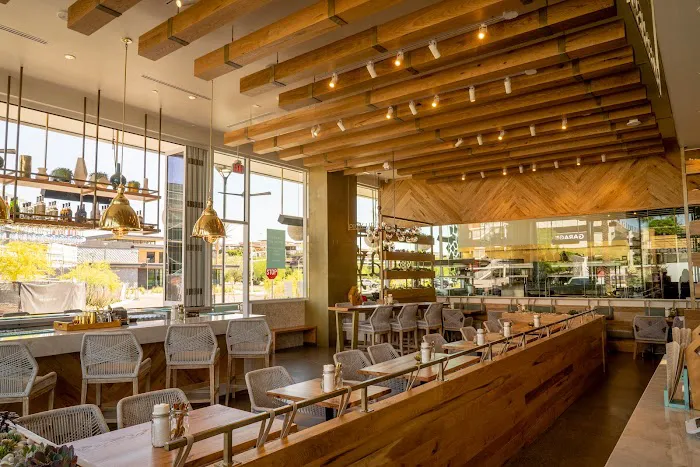 Tocaya Modern Mexican Picture 5