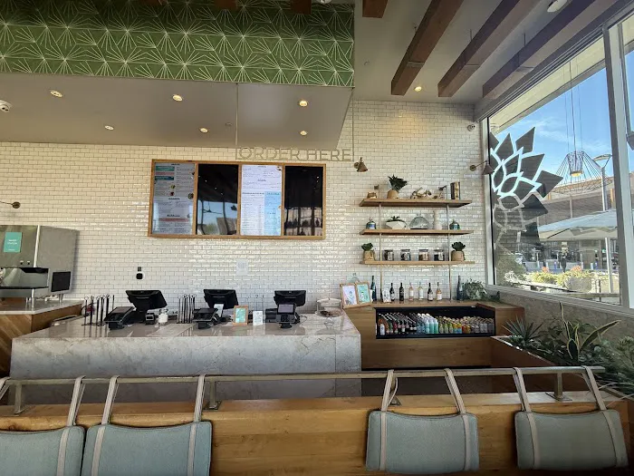 Tocaya Modern Mexican Picture 7