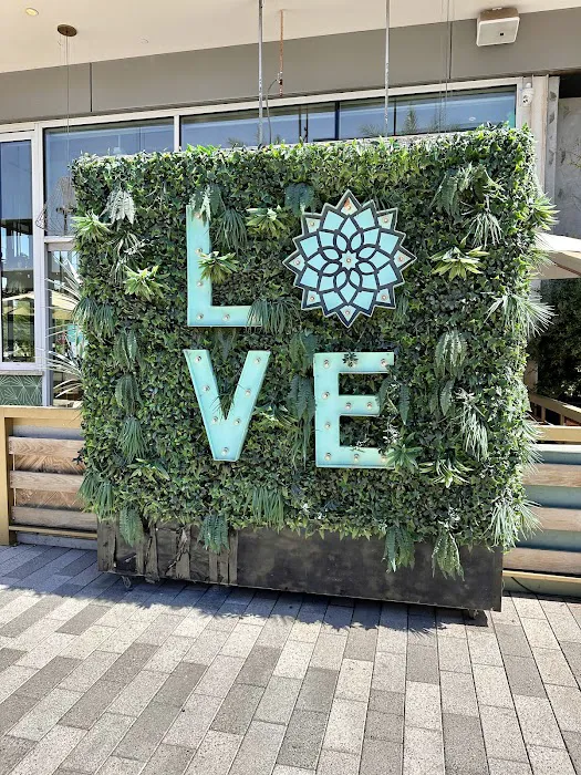 Tocaya Modern Mexican Picture 4