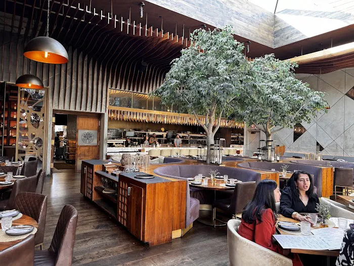 Toca Madera Scottsdale Picture 4