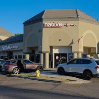 Native Grill & Wings ico