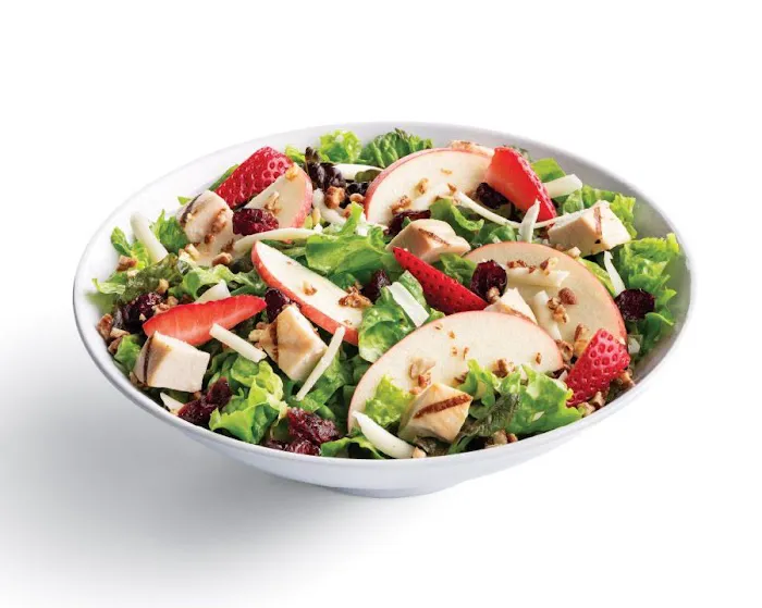 Café Zupas Picture 2