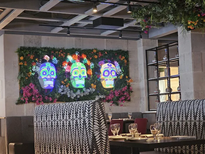 The Mexicano Chandler Picture 6