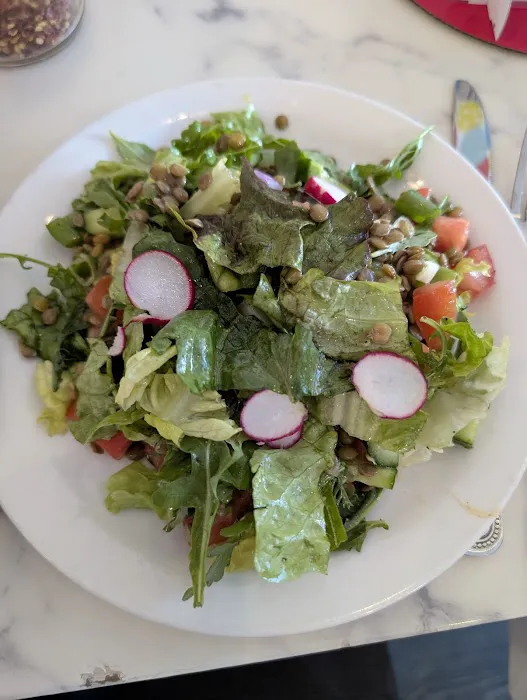 Pita Jungle Picture 9