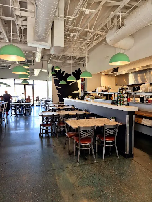 Pita Jungle Picture 7