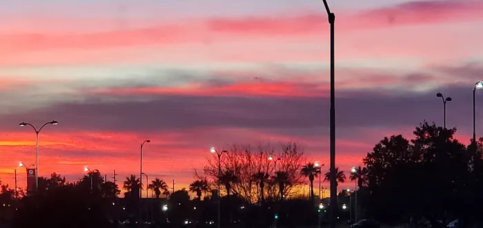 Panda Express Picture 3