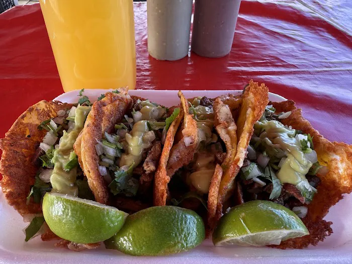 Tacolicioso Picture 8