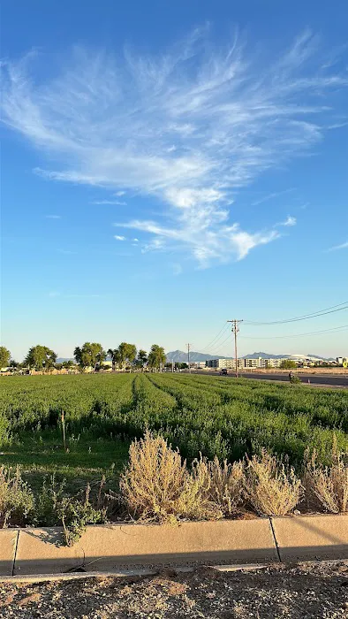 Desi gaadi 2.0 Glendale Picture 2