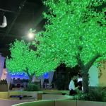 Tulum Modern Mexican