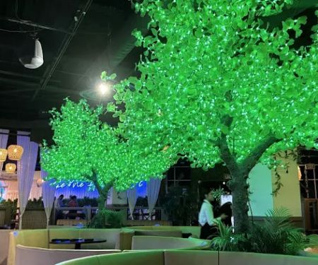 Tulum Modern Mexican