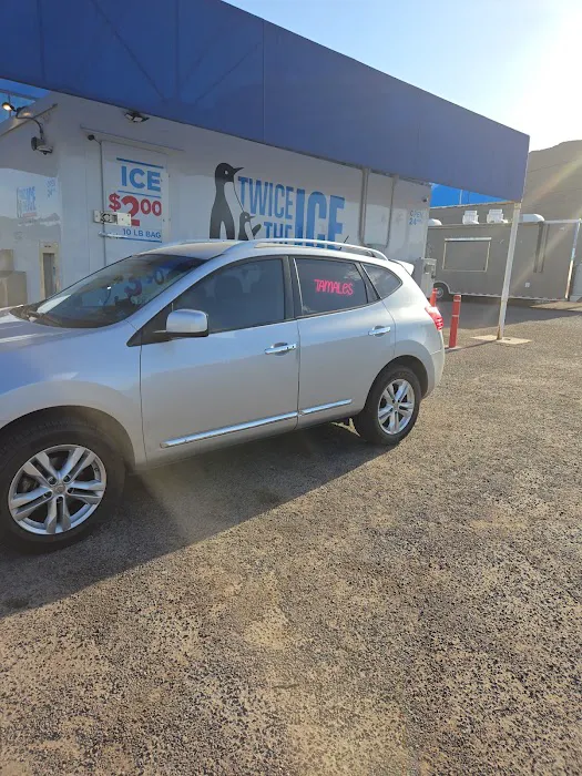 🫔Tamales Deliciosos Picture 1