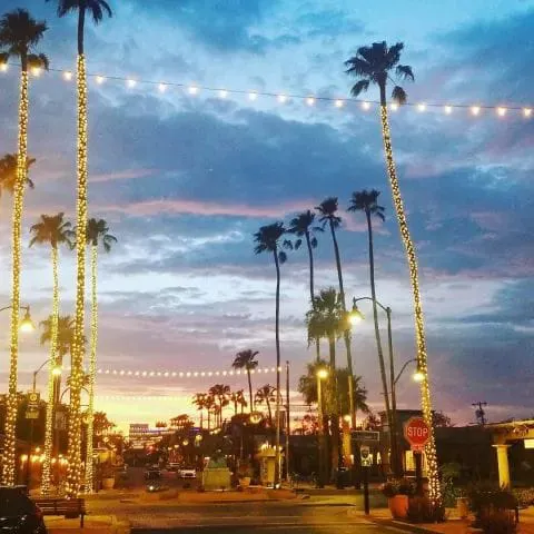 Malee's Thai Bistro Picture 4