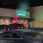 Green New American Vegetarian