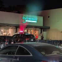 Green New American Vegetarian ico