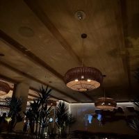 Élephante Scottsdale ico