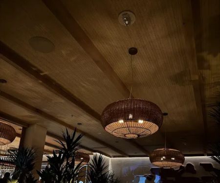 Élephante Scottsdale