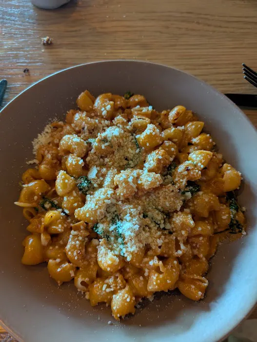 Élephante Scottsdale Picture 10