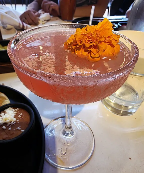 Call Her Martina Picture 7