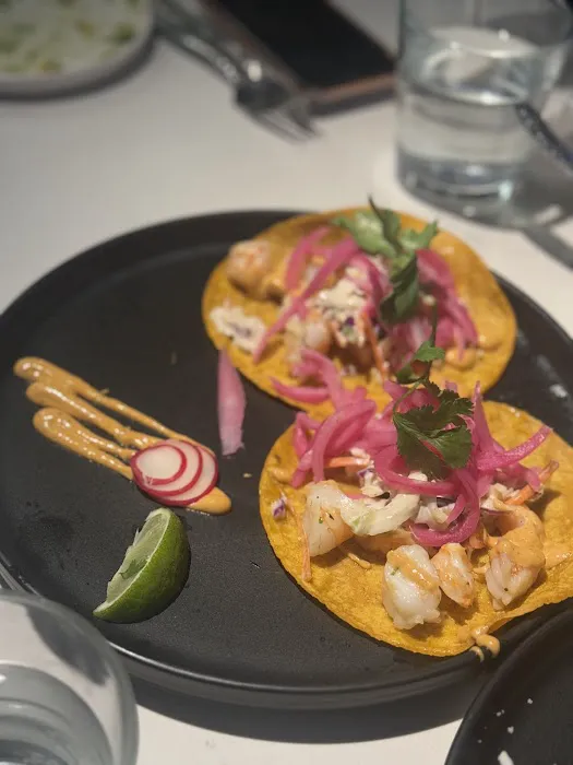 Call Her Martina Picture 4