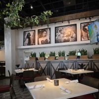 Call Her Martina ico