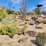 Rita's Cantina & Bar